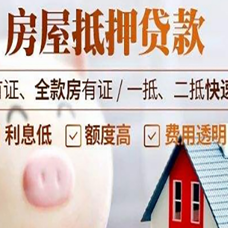 额济纳贷款助贷公司新渝启服成立时间久